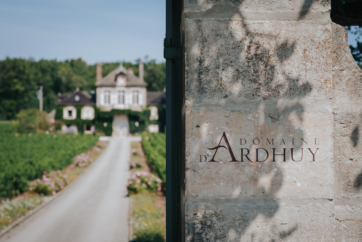 Domaine D'Ardhuy Wine Set