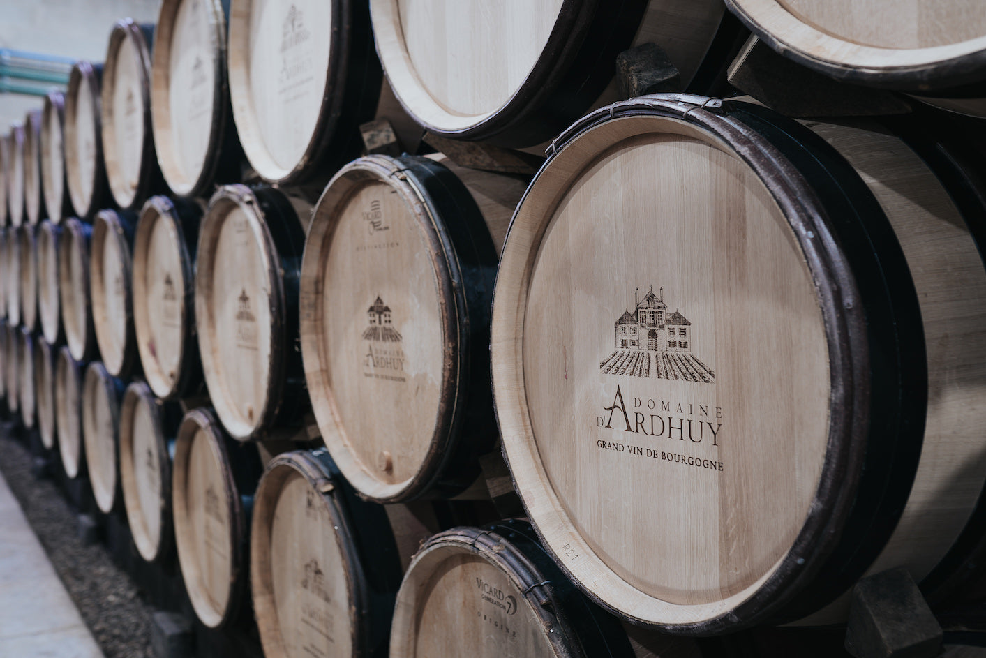 Domaine D'Ardhuy Wine Set