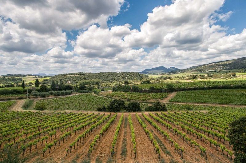 Mas des Quernes Wine Set