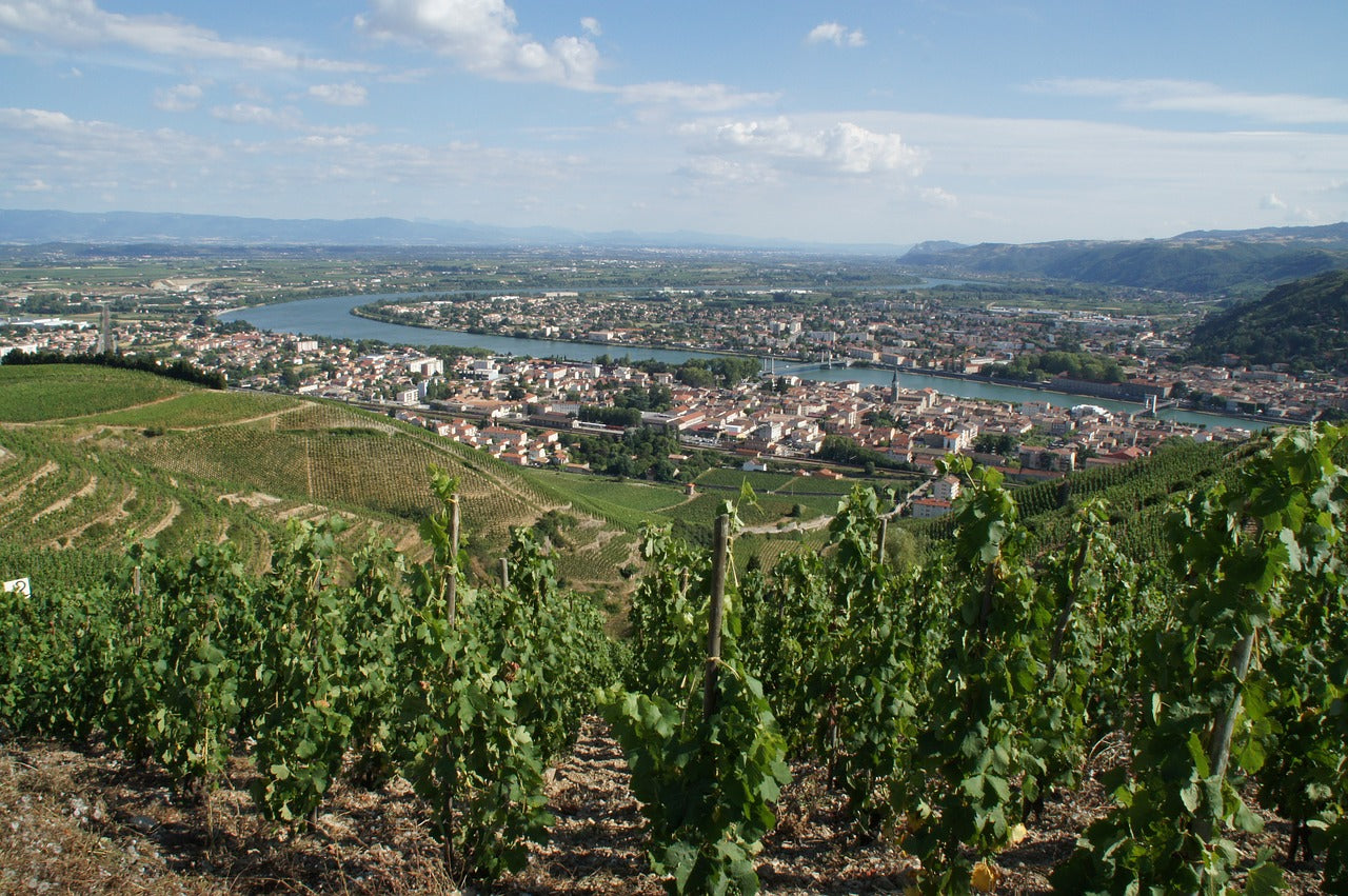 Domaine Laurent Combier Wine Set