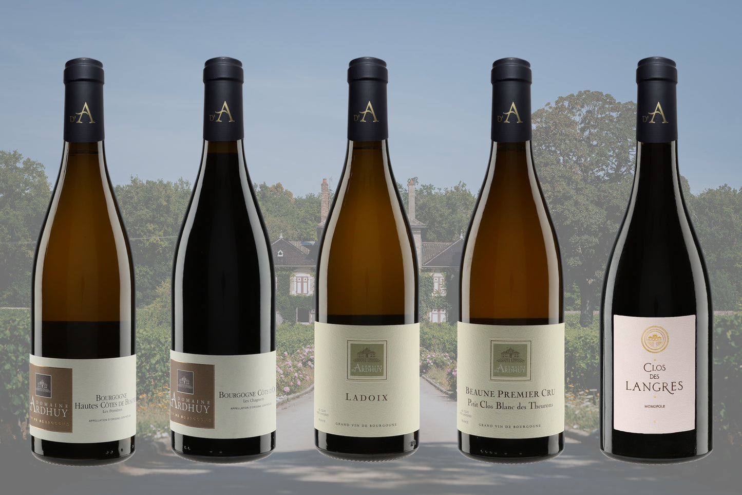 Domaine D'Ardhuy Wine Set