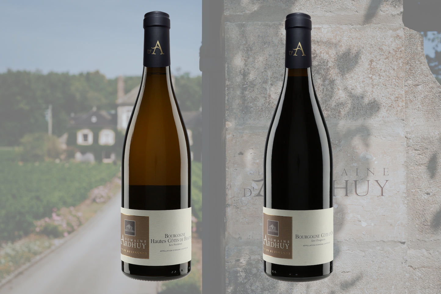 Domaine D'Ardhuy Wine Set
