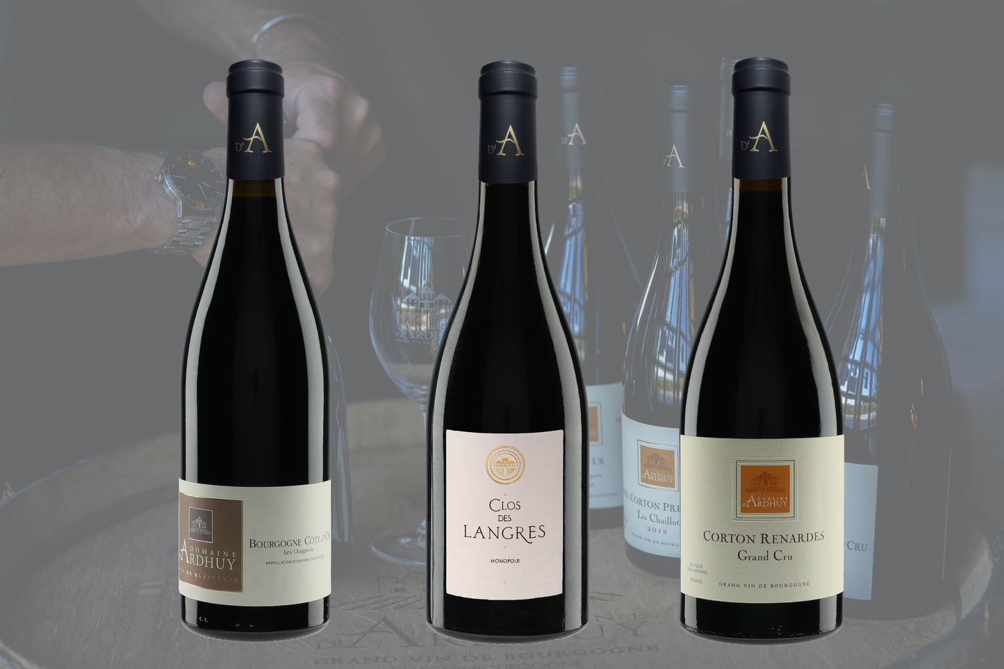 Domaine D'Ardhuy Wine Set