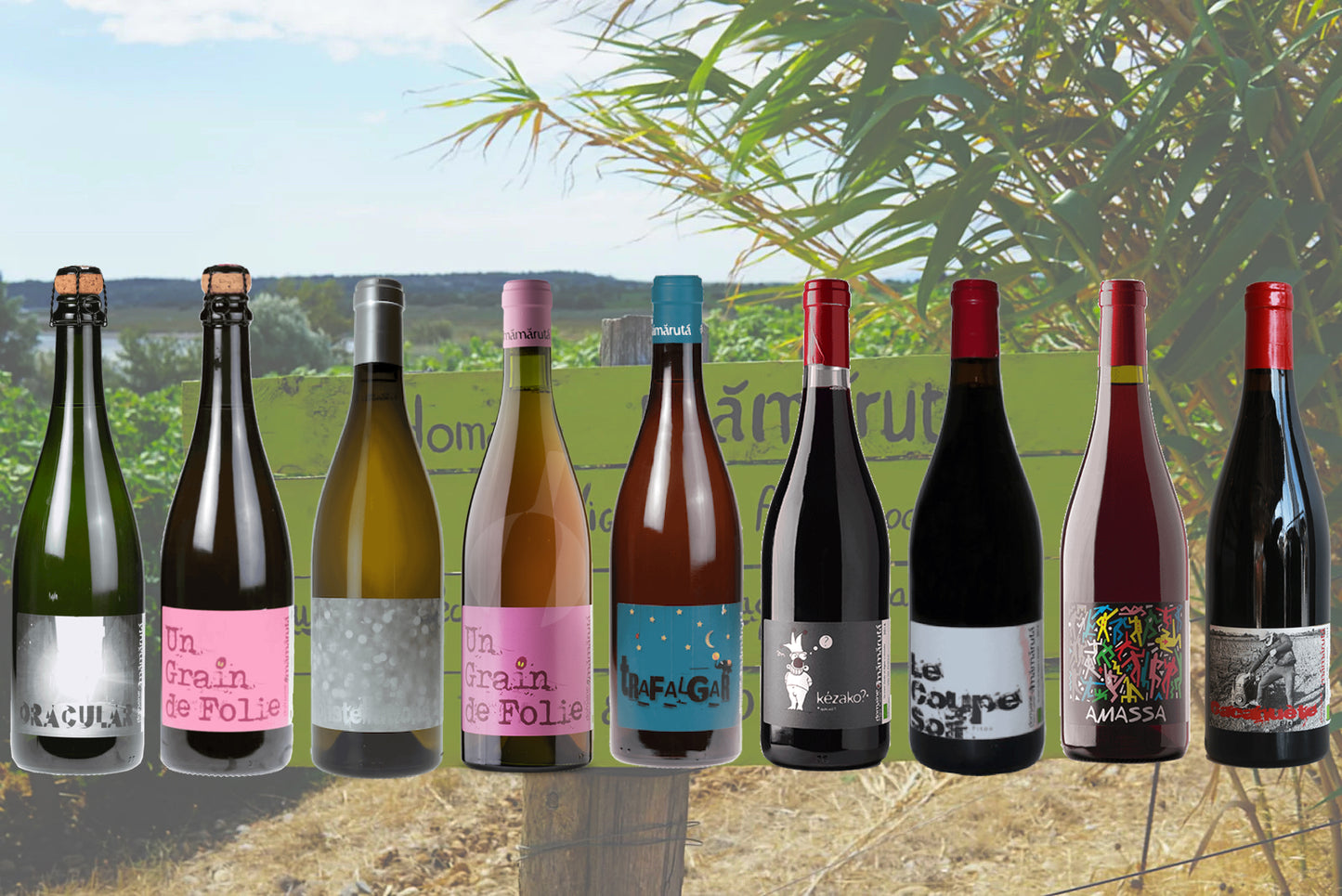 ドメーヌ・ママルタ ワインセット/ Domaine Mamaruta Wine Set