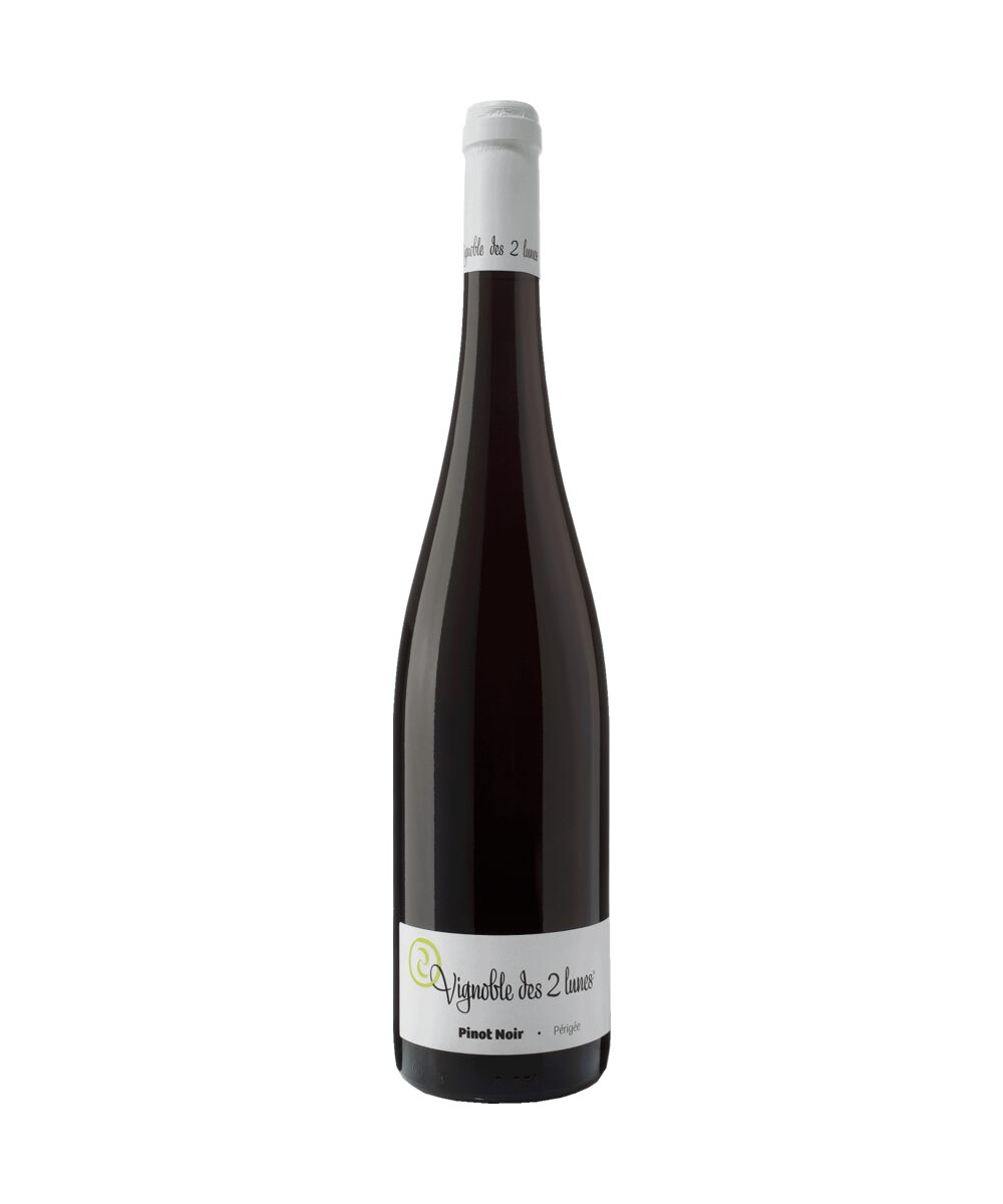 ペリジェ 2023/ Pinot noir Périgée 2023