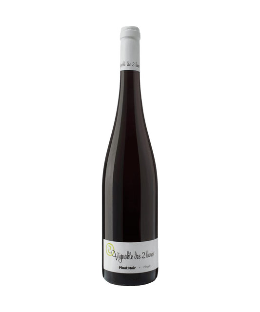 Perigee 2019 / Pinot noir Périgée 2019