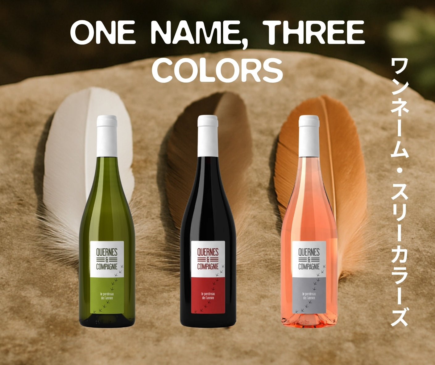 ONE NAME, THREE COLORS / ワンネーム・スリーカラーズ