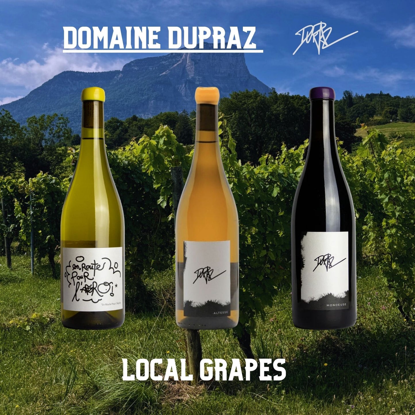 デュプラ ワインセット/ Dupraz Wine Set