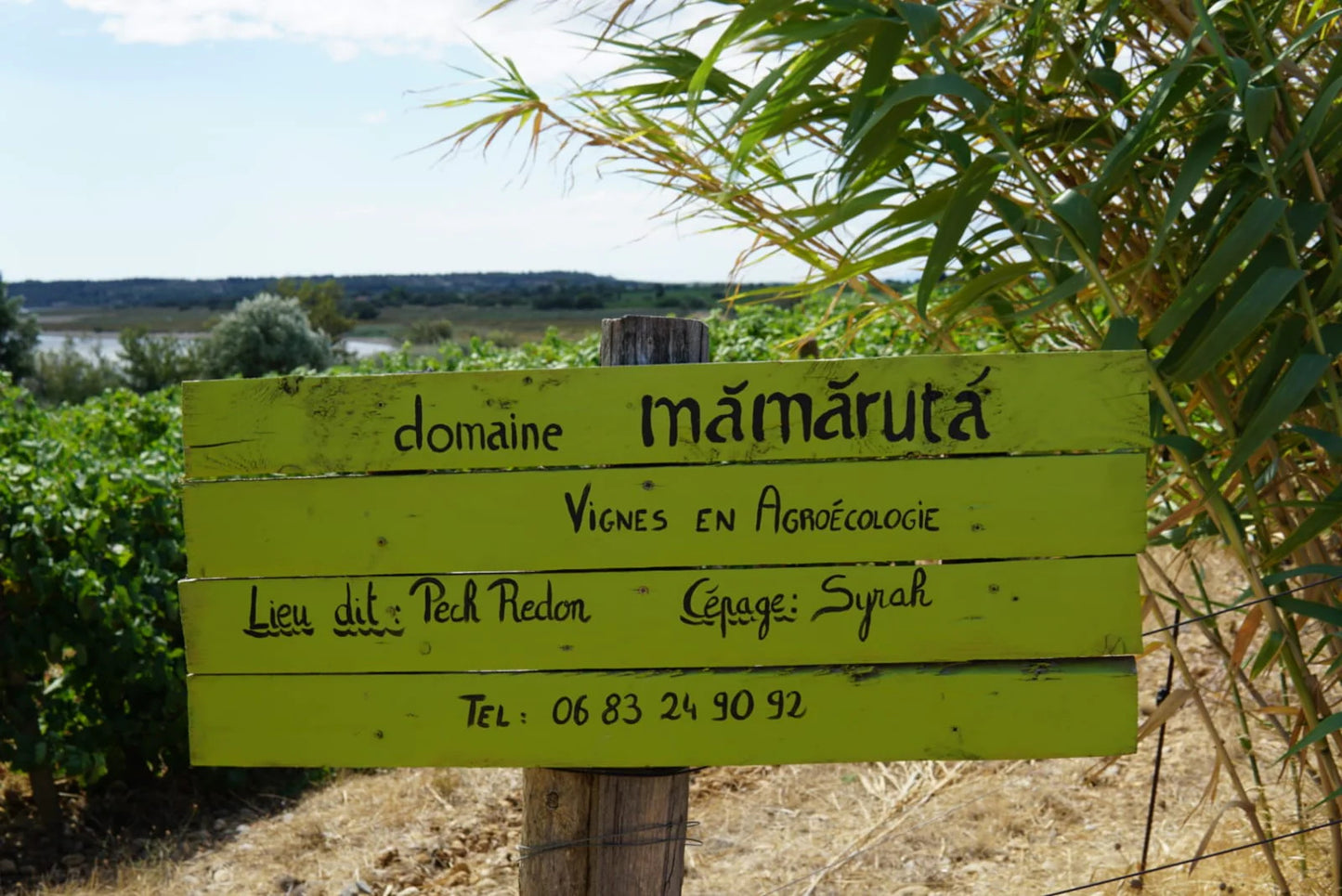 Domaine Mamaruta Wine Set