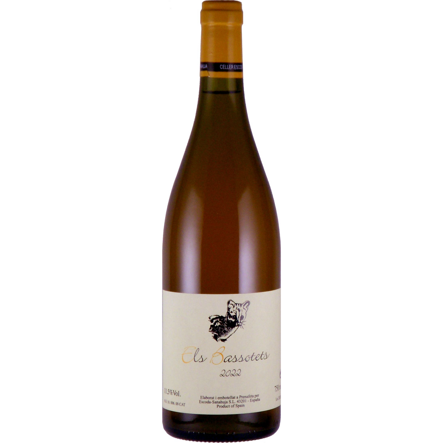 エルス・バソテッツ / Els Bassotets 2022