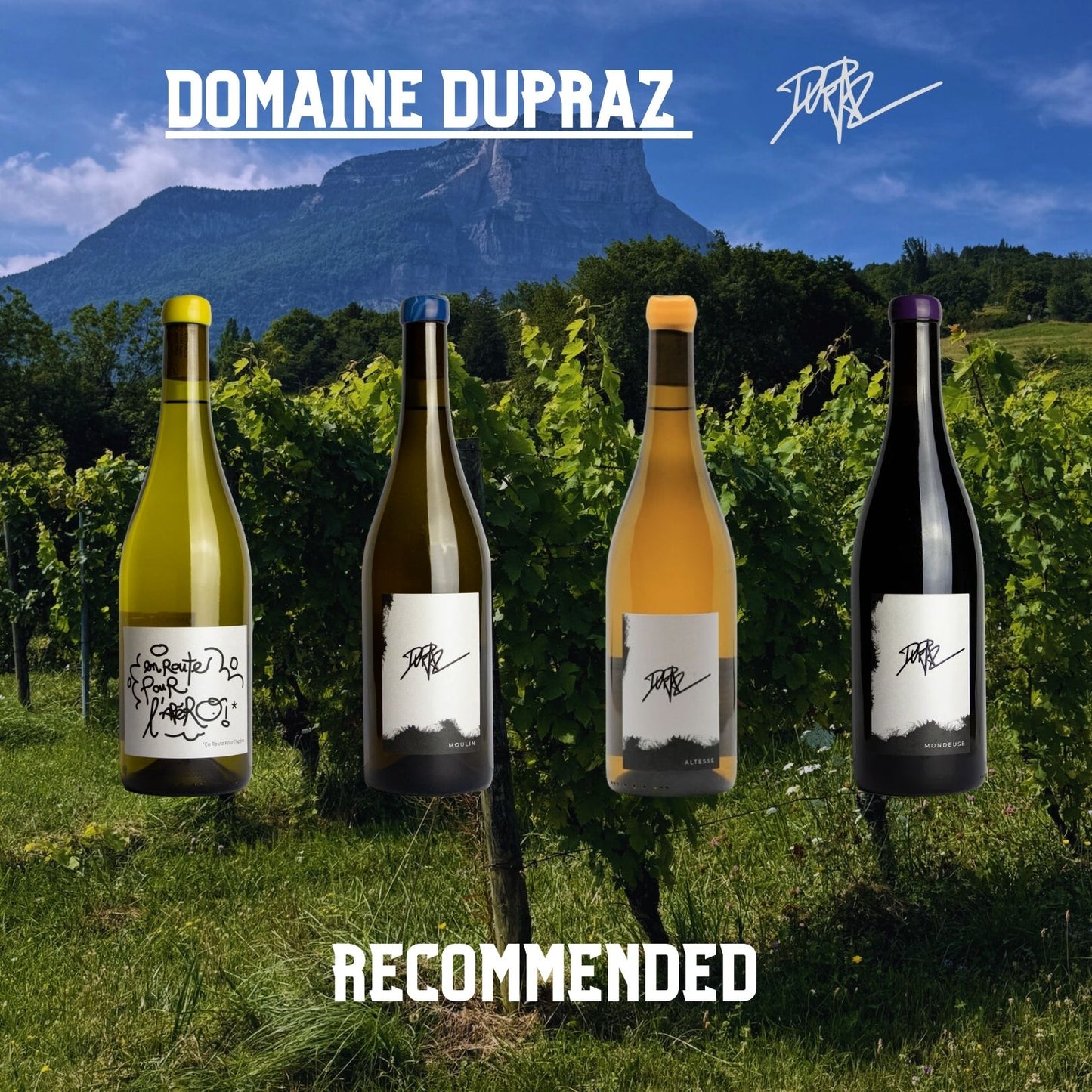 デュプラ ワインセット/ Dupraz Wine Set